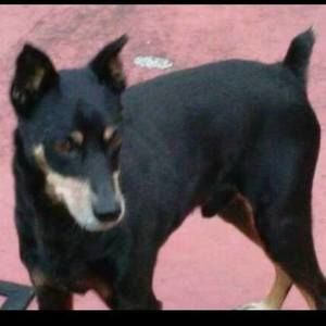 Meet your Posher, Arthur